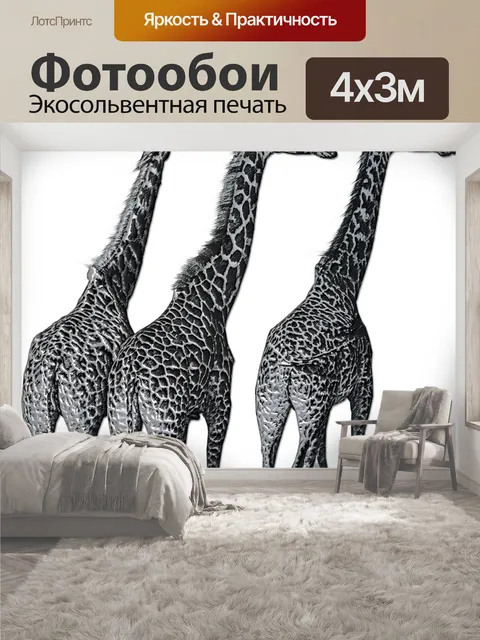 400 × 300 см · Экосольвентная печать