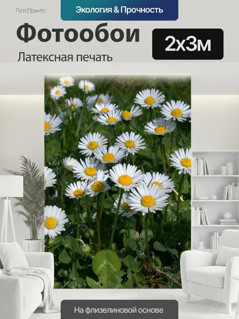 200 × 300 см · Латексная печать