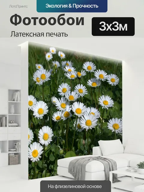 300 × 300 см · Латексная печать