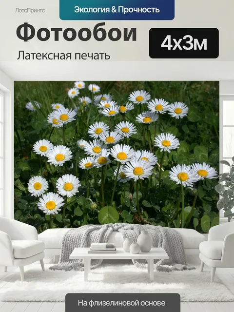 400 × 300 см · Латексная печать