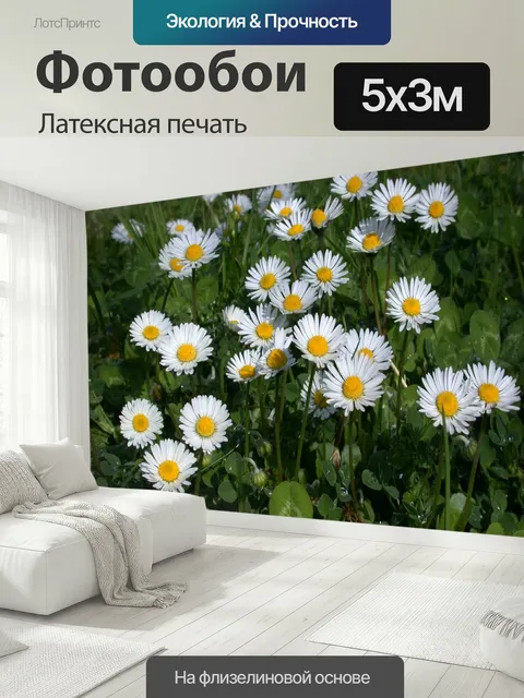 500 × 300 см · Латексная печать