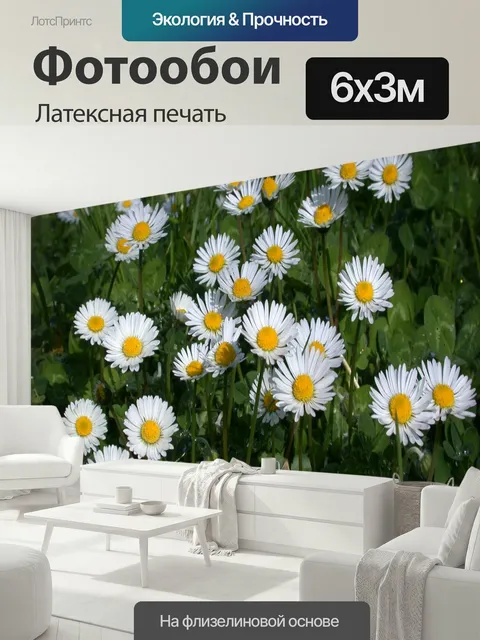 600 × 300 см · Латексная печать