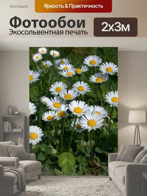 200 × 300 см · Экосольвентная печать