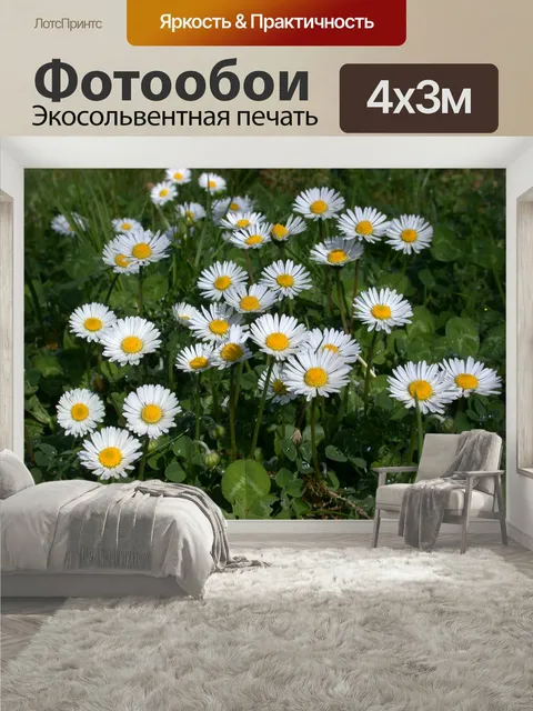 400 × 300 см · Экосольвентная печать