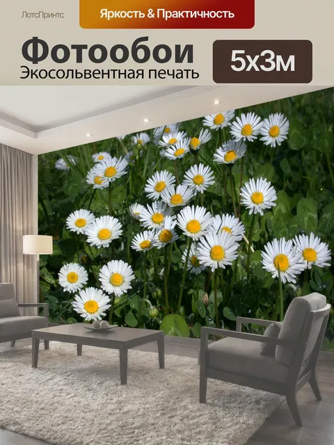 500 × 300 см · Экосольвентная печать
