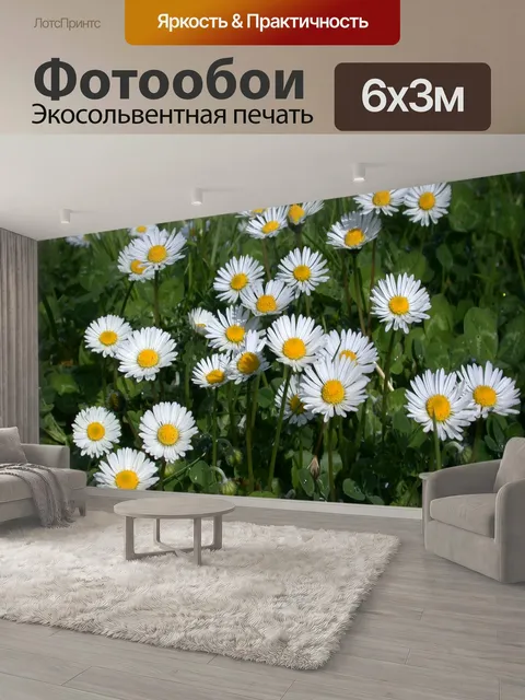 600 × 300 см · Экосольвентная печать