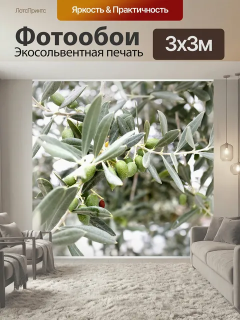 Фотообои Оливки, ветка оливы, средиземноморье