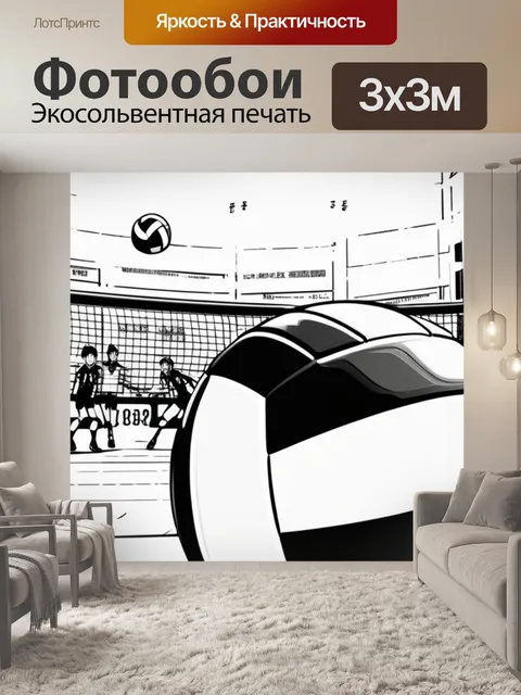 Фотообои С аниме волейбол чернобелый