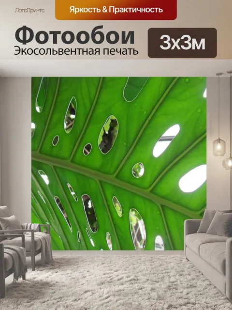 Фотообои Лист, пальма, зеленый