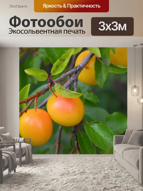 Фотообои Желтых слив, фрукты, вкусный