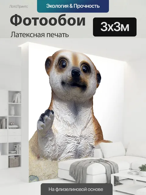 300 × 300 см · Латексная печать