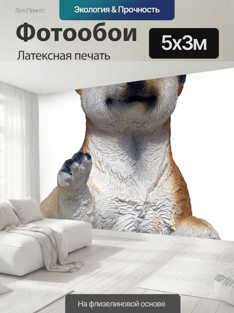 500 × 300 см · Латексная печать