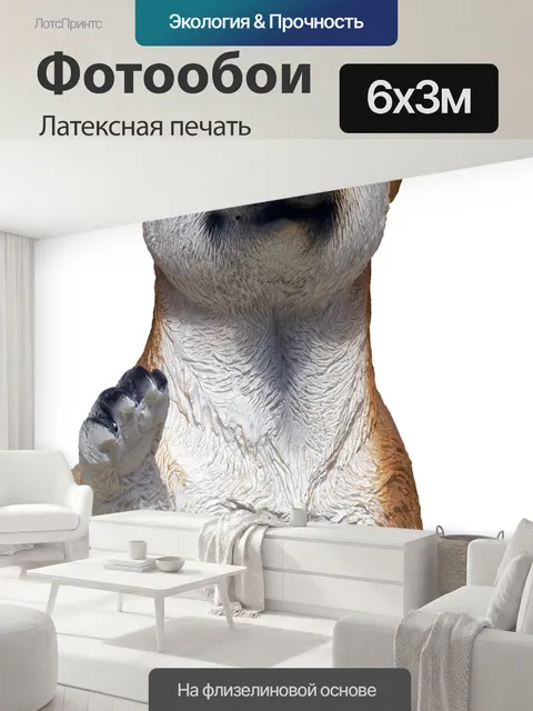 600 × 300 см · Латексная печать