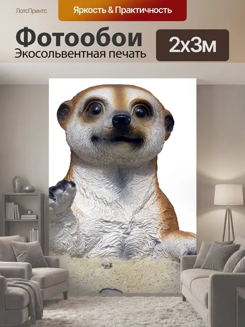 200 × 300 см · Экосольвентная печать