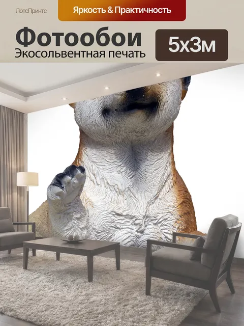 500 × 300 см · Экосольвентная печать
