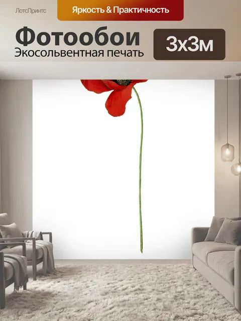 Фотообои Мак, цветок, завод