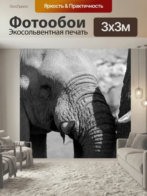 Фотообои Слон, черно-белый, африке