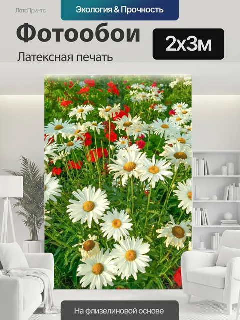 200 × 300 см · Латексная печать
