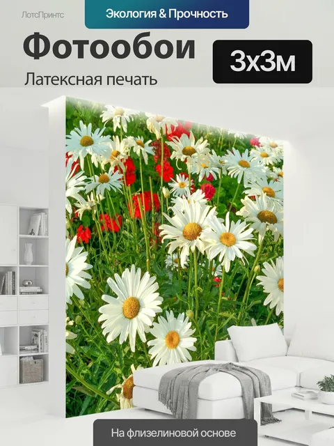 300 × 300 см · Латексная печать