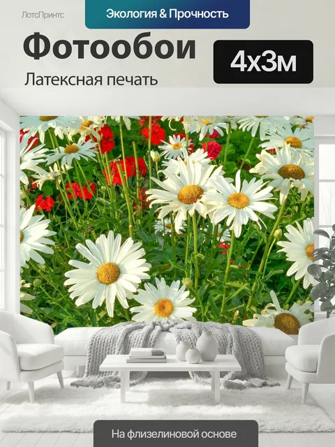 400 × 300 см · Латексная печать