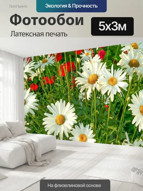 500 × 300 см · Латексная печать