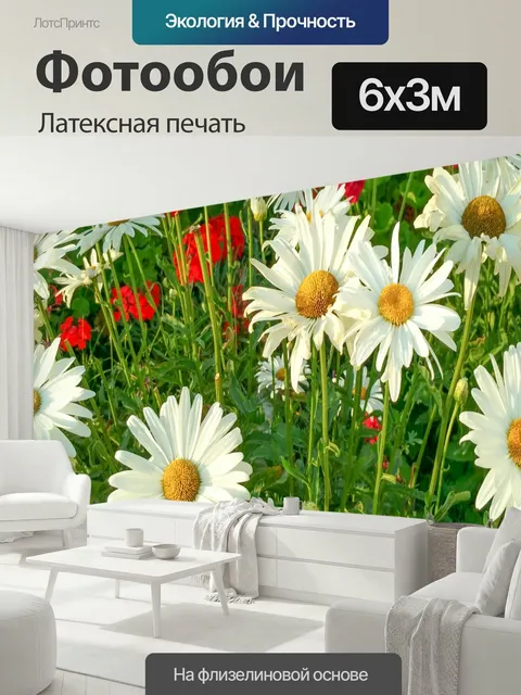 600 × 300 см · Латексная печать