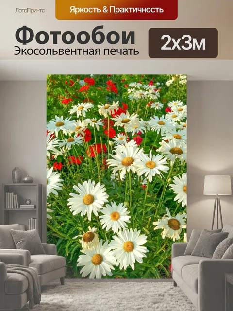 200 × 300 см · Экосольвентная печать