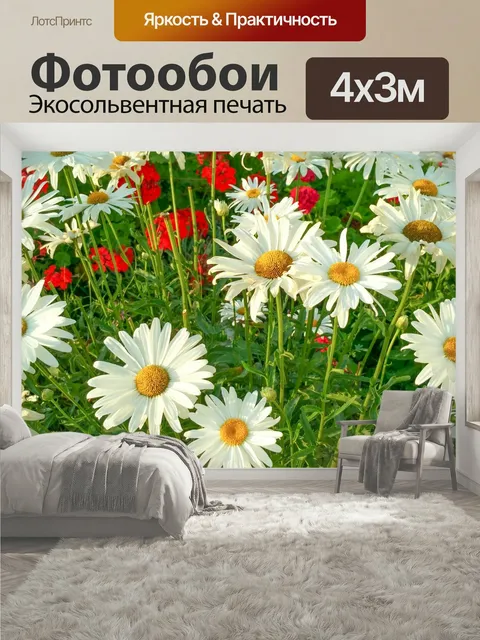 400 × 300 см · Экосольвентная печать