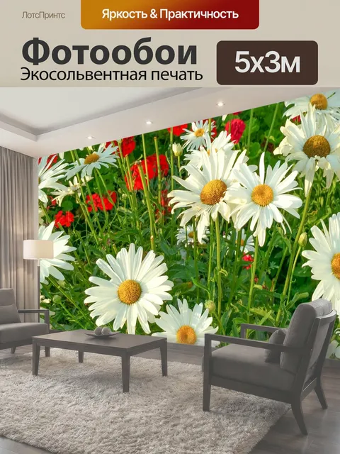 Фотообои Красные и белые цветы Белые ромашки