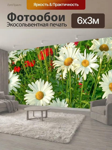 600 × 300 см · Экосольвентная печать