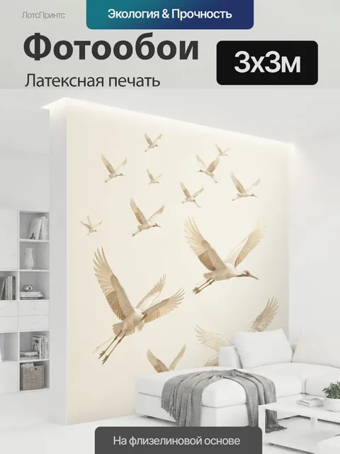300 × 300 см · Латексная печать
