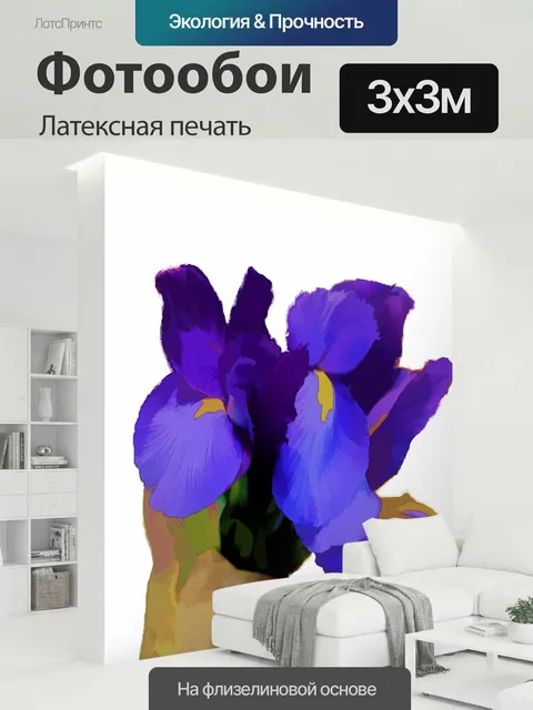 300 × 300 см · Латексная печать