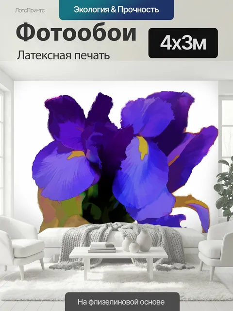 400 × 300 см · Латексная печать