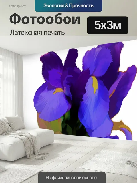 500 × 300 см · Латексная печать