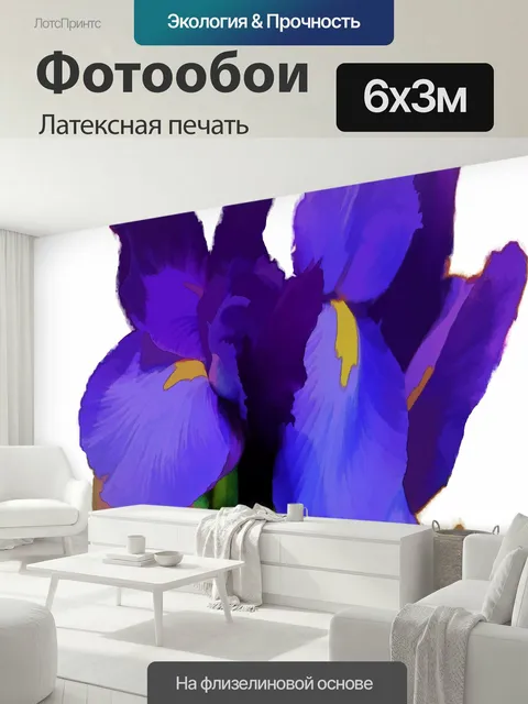 600 × 300 см · Латексная печать