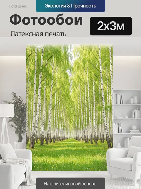 200 × 300 см · Латексная печать