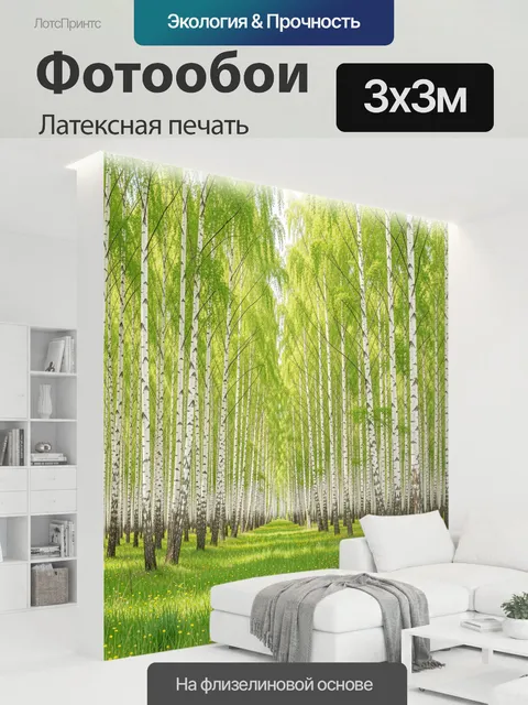300 × 300 см · Латексная печать