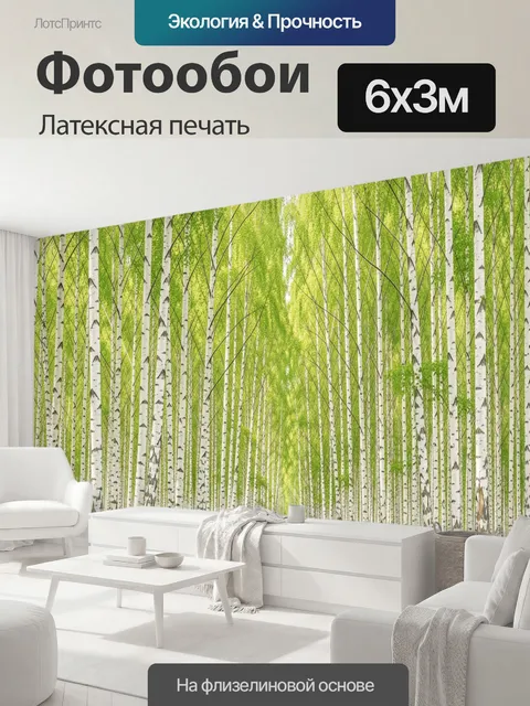 600 × 300 см · Латексная печать