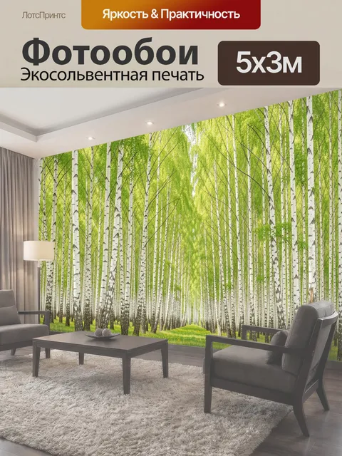 500 × 300 см · Экосольвентная печать