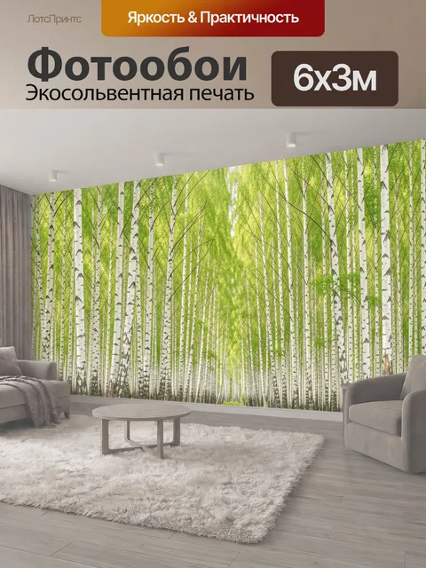 600 × 300 см · Экосольвентная печать