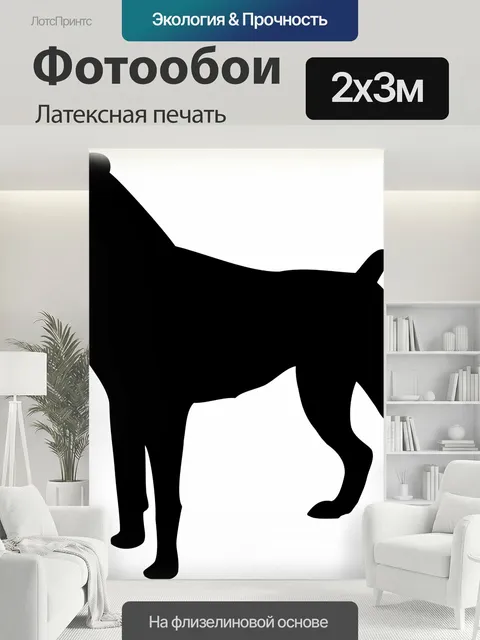 200 × 300 см · Латексная печать