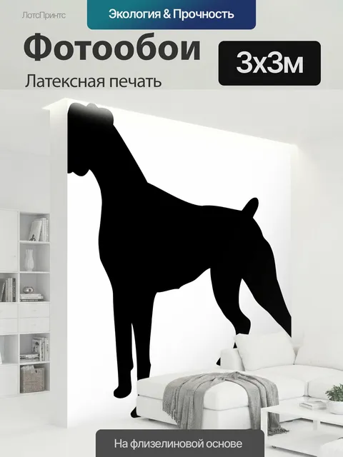 300 × 300 см · Латексная печать