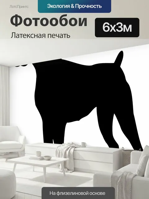 600 × 300 см · Латексная печать