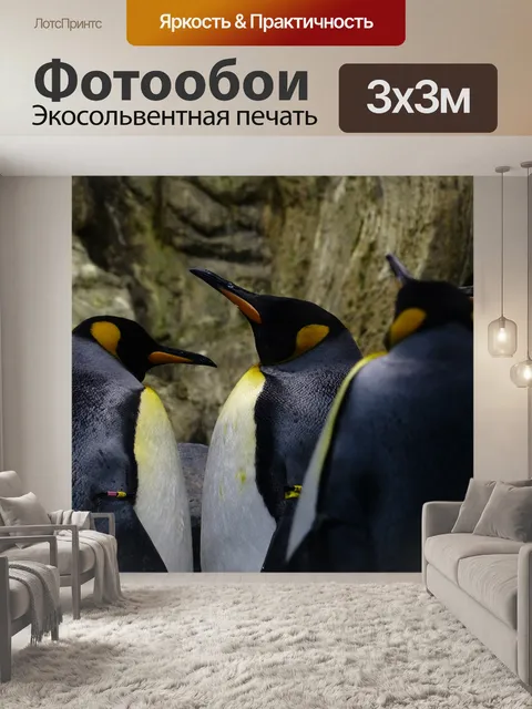 Фотообои Королевские пингвины, пингвины, бикс