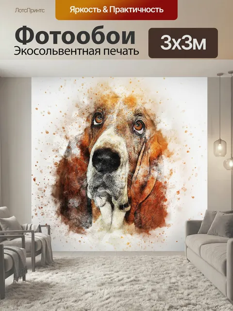 Фотообои Собака, бассет, домашний питомец