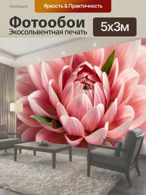 Фотообои Розовые цветы крупным планом