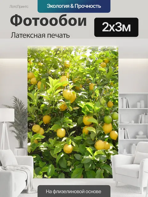 200 × 300 см · Латексная печать