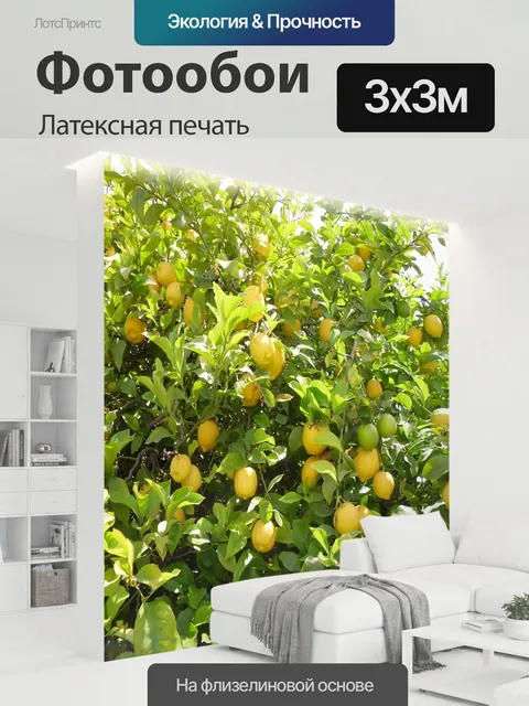 300 × 300 см · Латексная печать