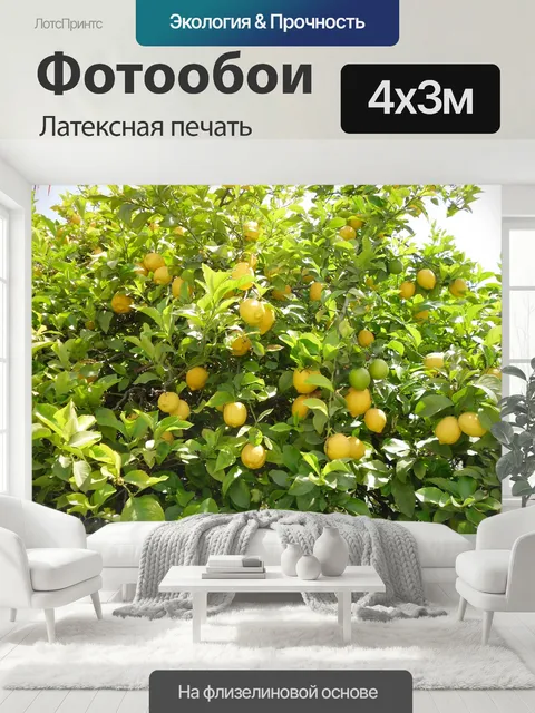 400 × 300 см · Латексная печать