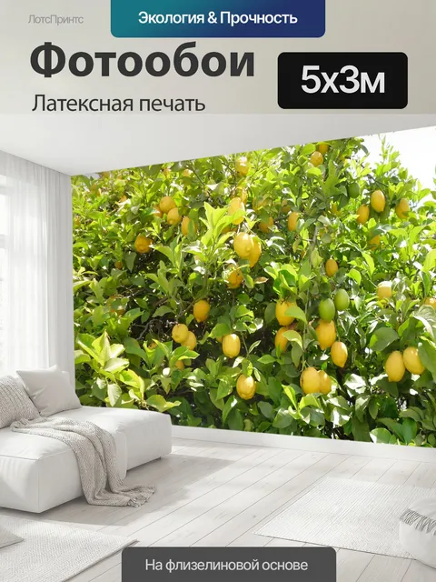 500 × 300 см · Латексная печать
